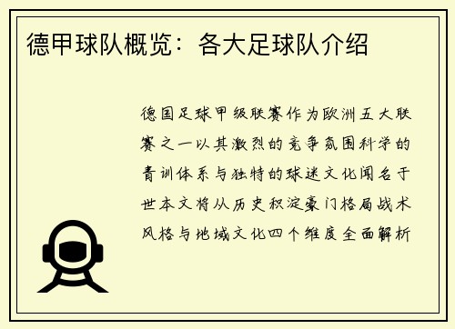 德甲球队概览：各大足球队介绍